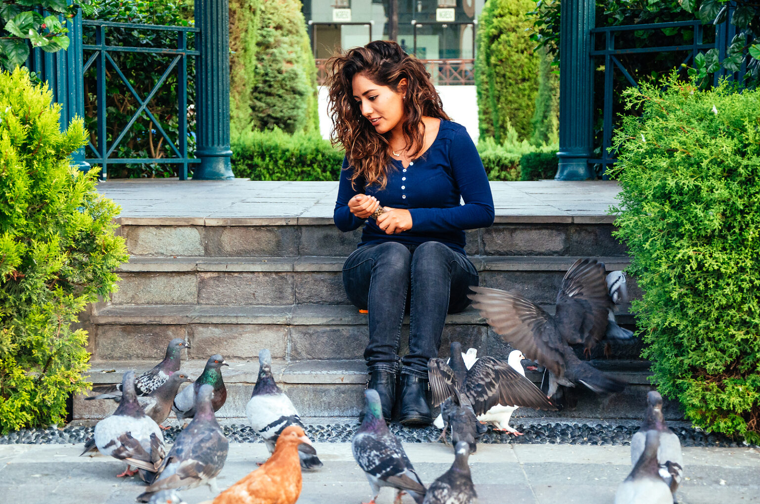 Is it a Bad Idea to Feed Local Wildlife in Winter? | Modern Wildlife