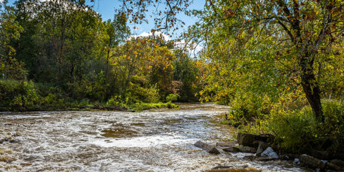 The Importance of Professional Wildlife Control Service | Modern