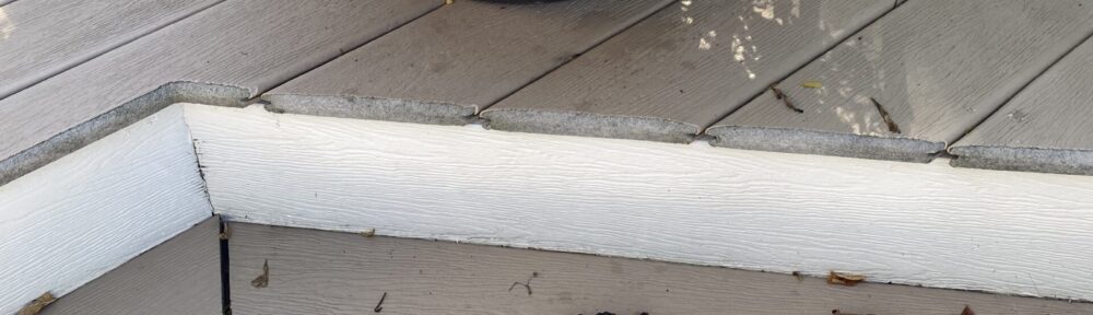 Call 317-847-6409 For Professional Raccoon Control in Indy