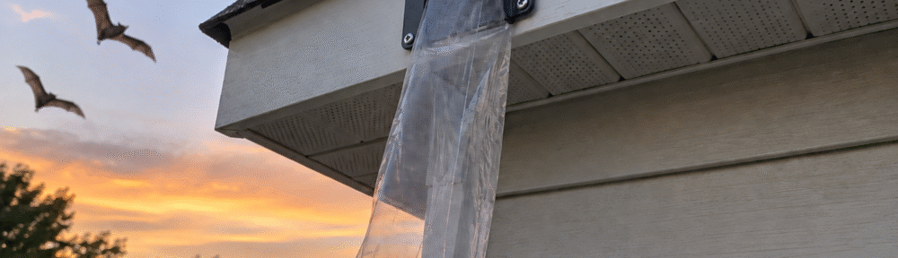 Bat Exclusion Season in Indiana