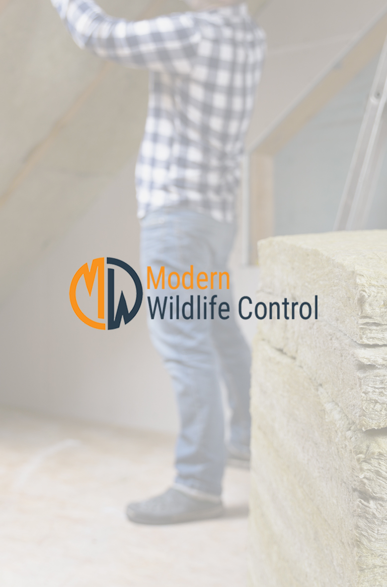 Wildlife Removal Services Indianapolis